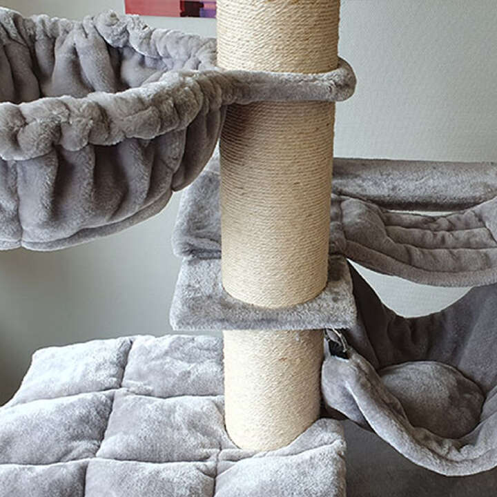 Nobby Kratzbaum Rubi